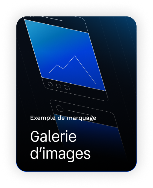 Galerie d’images